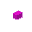 Magenta Illumar Button